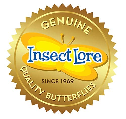 Insect Lore Raise and Release Butterfly Garden Kit – Caterpillar Habitat with redeemable Voucher – STEM-accredited Butterfly Growing Kit for Kids, Classrooms, and Homeschool Learning — view 10