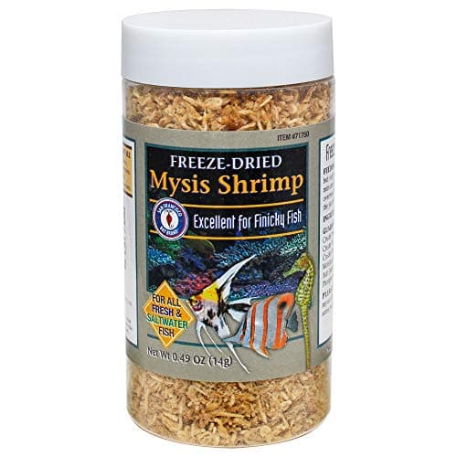San Francisco Bay Brand Freeze-Dried Mysis Shrimp - Premium Fish Food, Tropical Fish Food, Shrimp Food - Ideal for Freshwater and Saltwater Fish, Cichlids, Angels, Seahorses - 0.49 oz (14g)