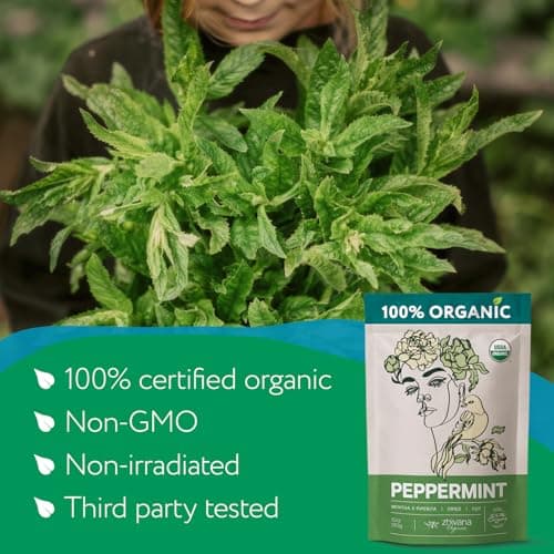 Organic Peppermint Tea Loose Leaf - Mint Tea - Energy Without Caffeine 3 oz