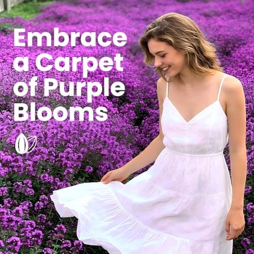 Fruivity 20000+pcs Creeping Thyme Seeds for Planting, Perennial Ground Cover Plants Flowers Seeds Fragrant Herb Seeds for Lawns & Paths Garden — view 4