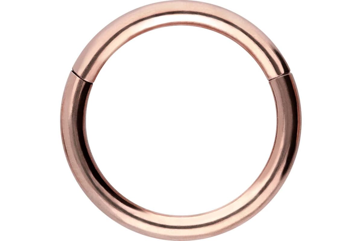 PIERCINGLINE Anillo segmento Clicker de acero quirúrgico – Piercing en oro, plata, rosa, negro o azul – para nariz, tabique, oreja, hélice o tragus — view 119