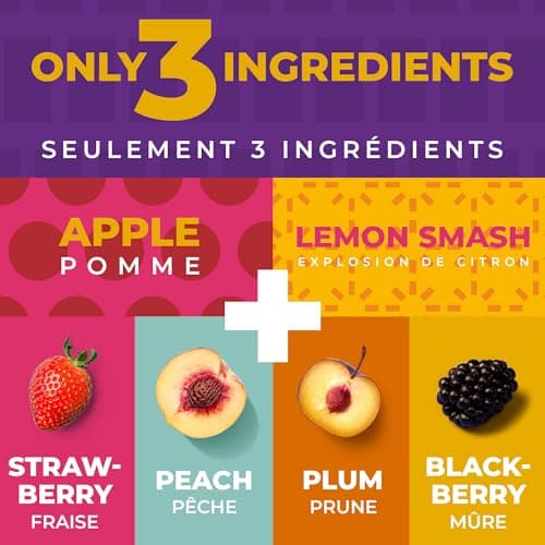 Healthy Snacks for Adults by Zest Delites, Fruit Leather, Lavashak, Strawberry, Blackberry, Peach, Plum, Dried Fruit Snacks, Gluten Free, Vegan, Individually Wrapped 36x25g — view 4
