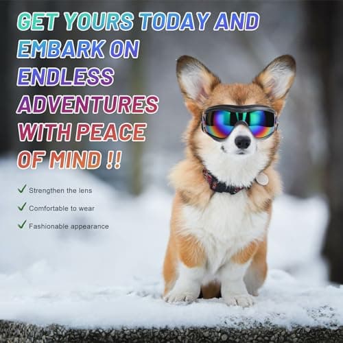 NVTED Dog Sunglasses Dog Goggles, UV Wind Dust Fog Protection Pet Glasses Eye Wear with Adjustable Strap for Medium or Large Size (Laser) — view 4
