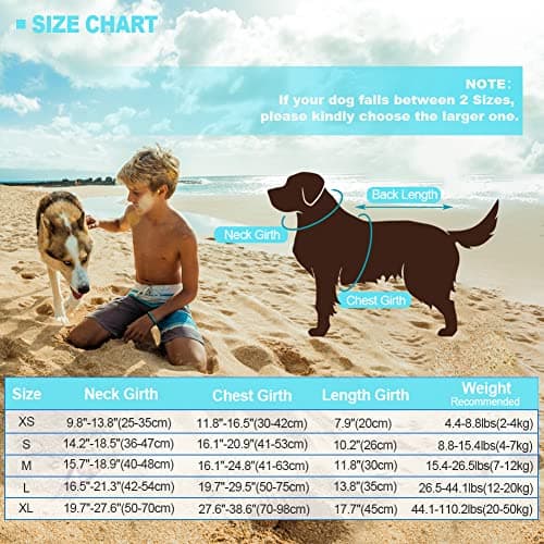 EMUST Large Dog Life Jacket, Pet Life Vests for Swimming, Small/Medium/Large Dog Flotation Vest with Rescue Handle for Water at Pool, Beach, Boating (XL,Pool Blue) — view 4
