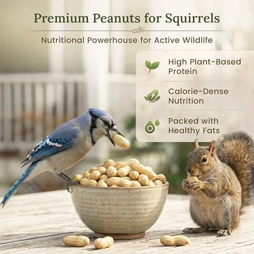 Forest Haven Premium Raw Peanuts for Squirrels – 2LB Bulk Squirrel Food – Unsalted Peanuts in Shell for Birds, Deer & Wildlife – Bonus Binoculars Included - USA Grown — view 3