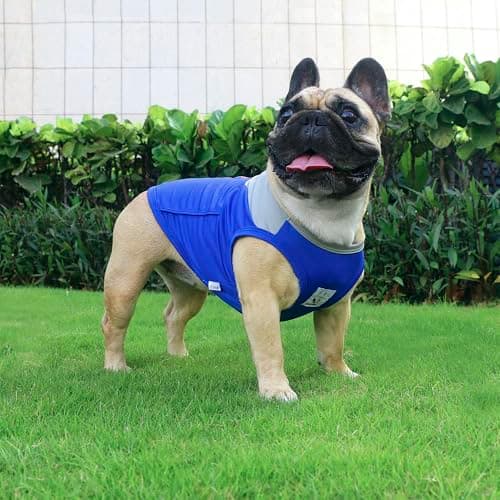 iChoue French Bulldog Summer Cooling Shirt for Dogs UV Sun Protection Vest Sleeveless Stretchy Tank Top English Pug Grey Blue - Large — view 4