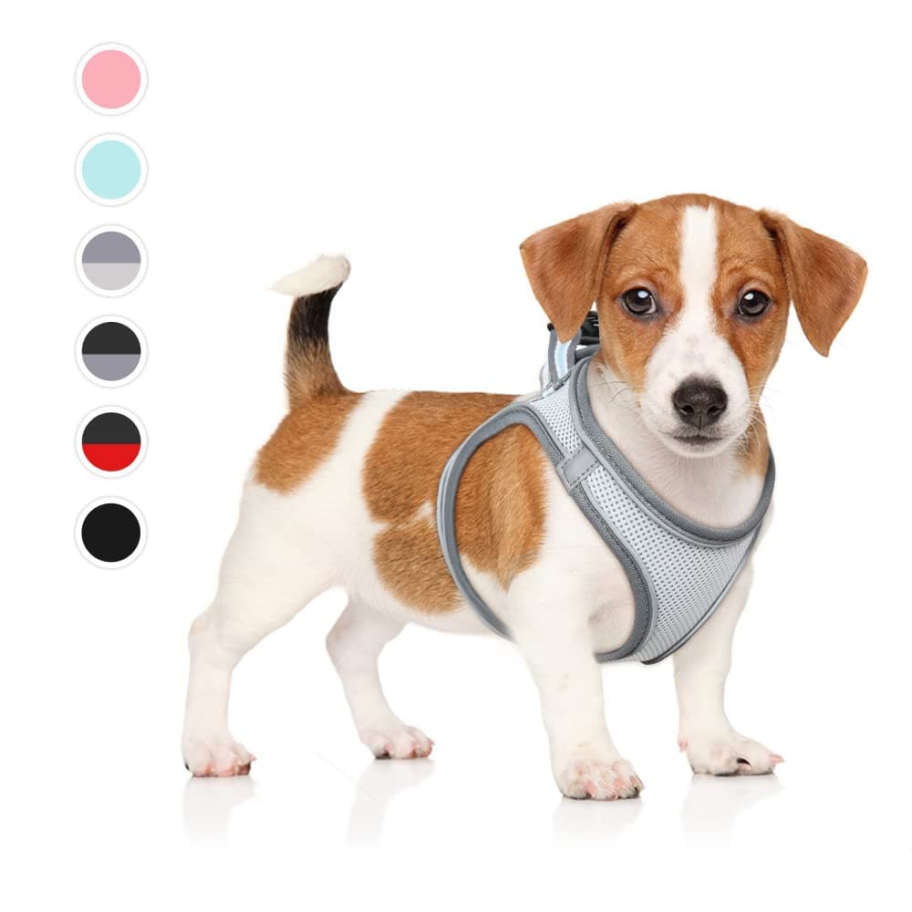 HEELE Arnes Perro Pequeño con Lineas Reflecantes Arnés Perro Antitirones Ajustable Suave Acolchado Cómodo para Viajar Pasear con Mascota, Flores Nanranja, S — view 39