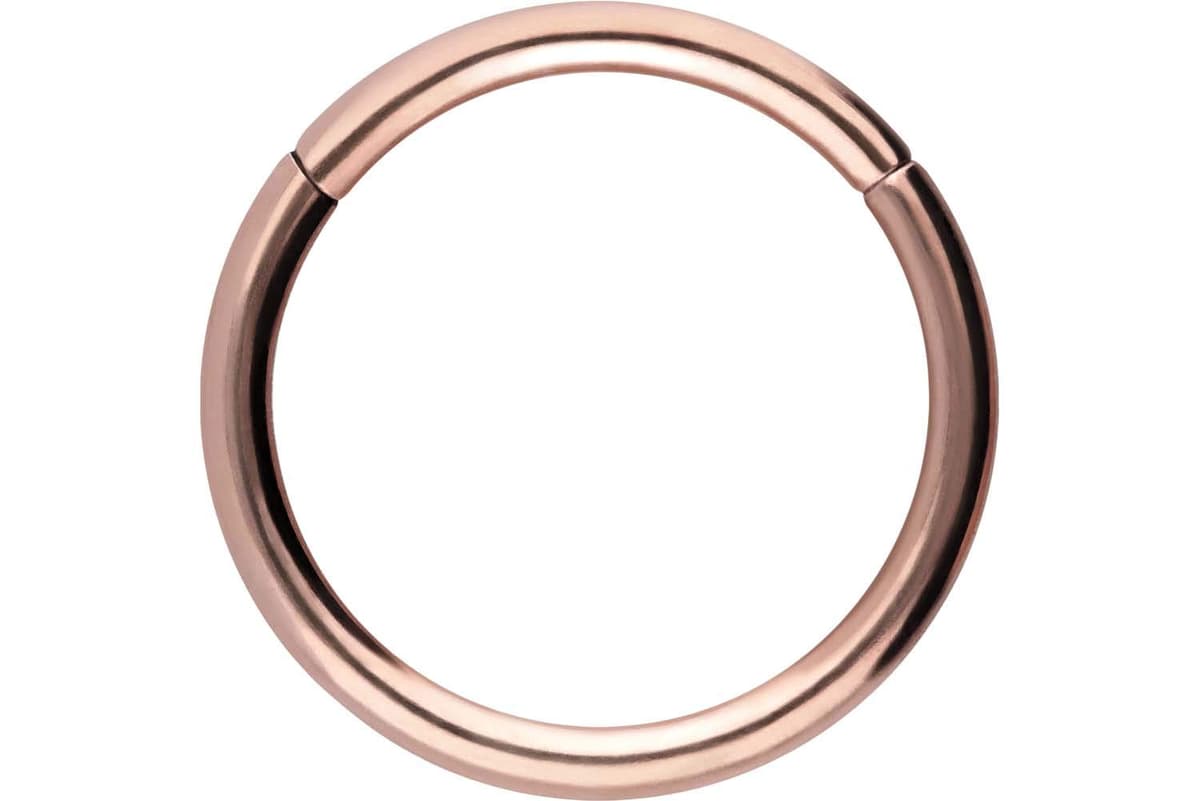 PIERCINGLINE Anillo segmento Clicker de acero quirúrgico – Piercing en oro, plata, rosa, negro o azul – para nariz, tabique, oreja, hélice o tragus — view 80