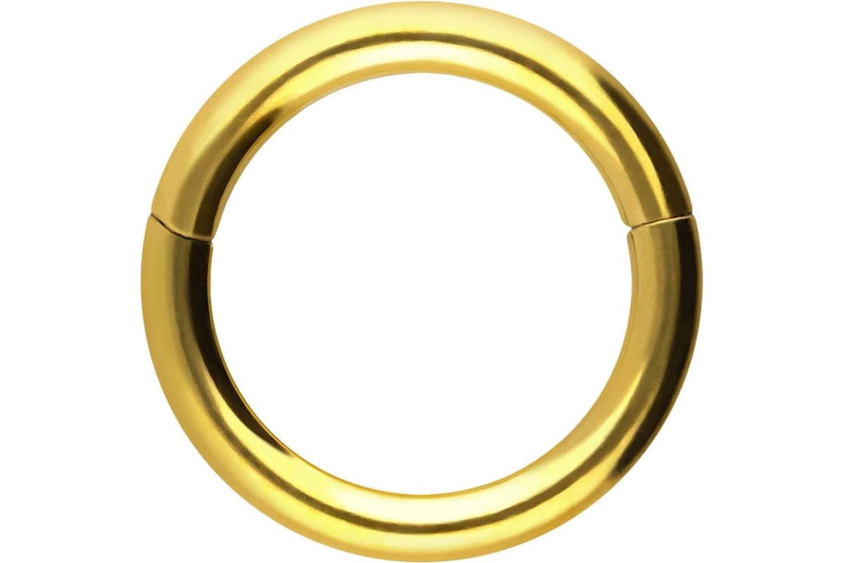 PIERCINGLINE Anillo segmento Clicker de acero quirúrgico – Piercing en oro, plata, rosa, negro o azul – para nariz, tabique, oreja, hélice o tragus — view 121