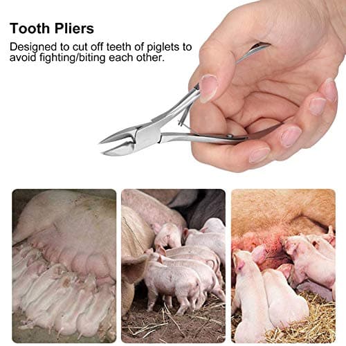 Stainless Steel Piglet Teeth Nippers – Multipurpose Animal Tooth and Nail Clipper – Veterinary Tool with Non Slip Handle for Farm — view 3