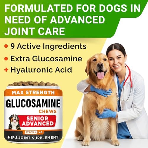 Senior Advanced Glucosamine for Dogs - Small + Large Breeds -Omega-3 Fish Oil - Chondroitin, MSM- Soft Chews for Older Dogs - Bacon Flavor - 120Ct — view 4