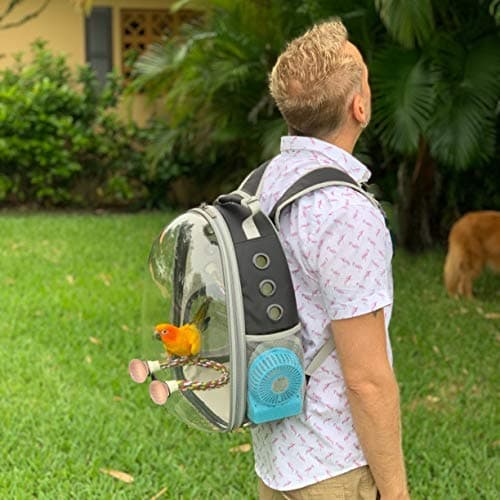 Bird Traval Carrier Cage, Clear Space Capsule Astronaut Backpack to Carry Parakeet Cockatiel Parrot with Metal Tray Wood Perch, Vet Transport School Bag — view 4