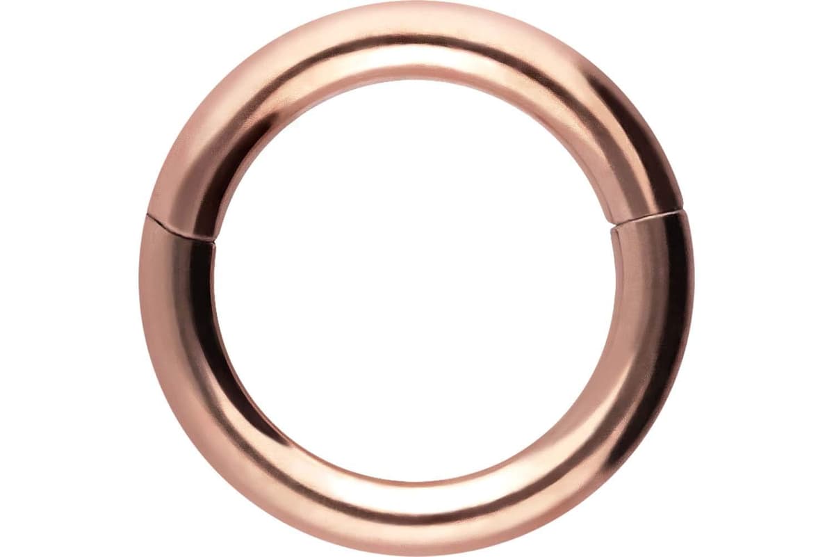 PIERCINGLINE Anillo segmento Clicker de acero quirúrgico – Piercing en oro, plata, rosa, negro o azul – para nariz, tabique, oreja, hélice o tragus — view 87