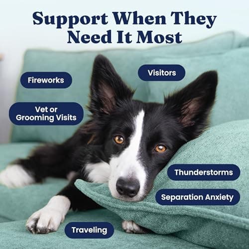 Solid Gold Calming Chews for Dogs - Dog Calming Chews w/Melatonin for Separation, Stress & Hyperactivity Relief - Supports Relaxation for Travel, Fireworks & Storms - All Ages & Sizes - Bacon 120ct — view 2