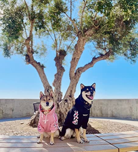 ChoChoCho Woof Dog Hoodie, Designer Dog Hoodies for Small Medium Large Breeds, Art Collection Dog Sweatshirts, Street Drawstring Hoodies Outfit Clothes for Puppy Puppies (5XL, Sakura/Pink)