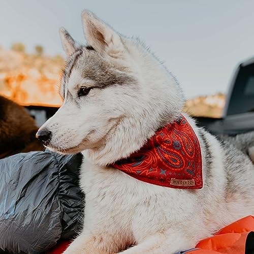 Wilderdog Dog Bandana with Lightweight Quick Drying Poly-Blend Mesh Material in Rodeo — view 5