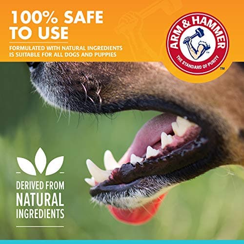 Arm & Hammer Dog Dental Care Fresh Breath Enzymatic Toothpaste for Dogs | No More Doggie Breath | Safe for Puppies, Advanced Care, Chicken Flavor — view 3