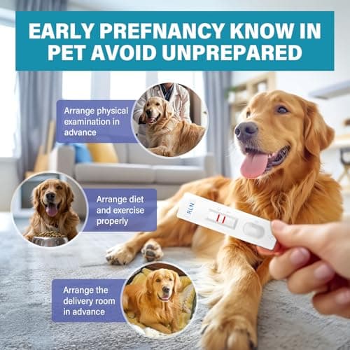 Dog Pregnancy Test Kit at Home - Accurate and Fast Dog Pregnancy Test, Convenient & Disposable Pregnancy Tests Strip (1PCS) — view 2