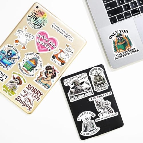 Bluradio 200PCS Holographic Sarcastic Meme Stickers for Adults (Dirty) — view 3