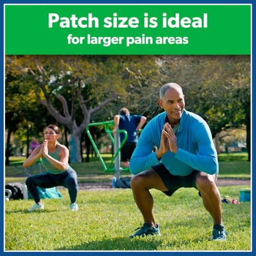 Salonpas Pain Relieving Patch, Large, 6 Count (Pack of 1) — view 2