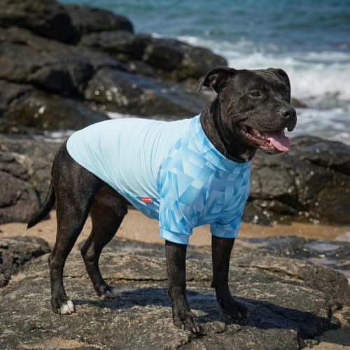 KYEESE 2Pack UV Protection Dog Shirt, UPF 50+ Cooling Dog T Shirts for Large Dogs Boy, Breathable Reflective Dogs Sun Shirts with Sleeves Summer Pet Clothes, Blue, 3XL — view 2