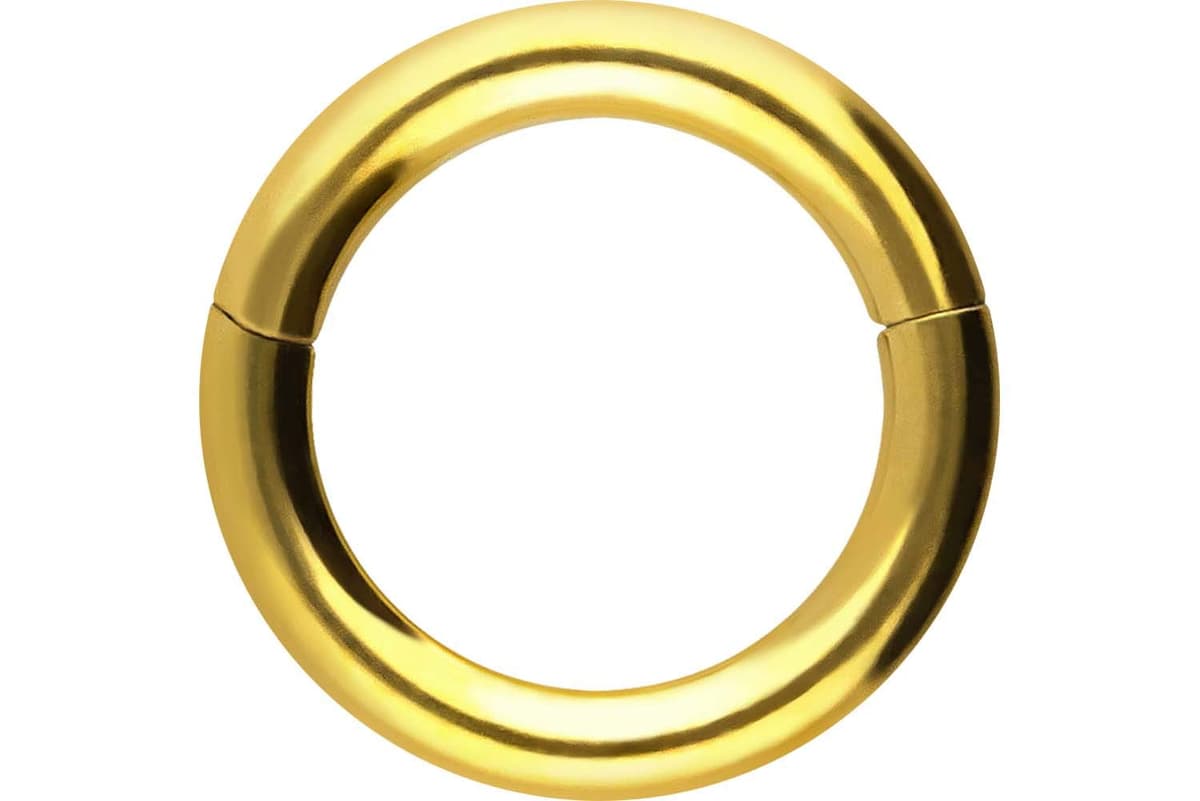 PIERCINGLINE Anillo segmento Clicker de acero quirúrgico – Piercing en oro, plata, rosa, negro o azul – para nariz, tabique, oreja, hélice o tragus — view 32