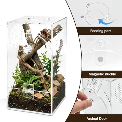 YINGXUN Jumping Spider Enclosure Set, Terrestrial Arboreal Combo, Acrylic Tarantula Terrarium, Praying Mantis Habitat, No Assembly, 2-Size Kit, Large — view 2