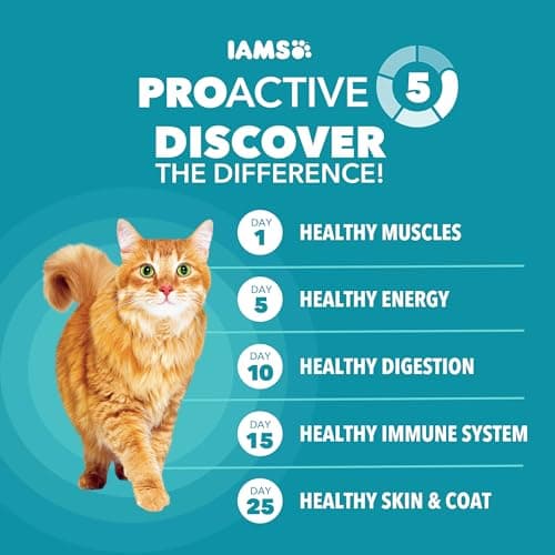 IAMS Proactive Health Dry Cat Food, Indoor Weight and Hairball Care Cat Food Dry Recipe, with Real Chicken in Every Bite, 22 lb. Bag — view 3