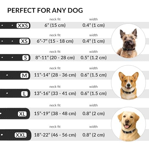 CollarDirect Rolled Leather Dog Collar, Soft Padded Round Puppy Collar, Handmade Genuine Leather Collar Dog Small Large Cat Collars (Black Smooth, 48-53 cm) — view 3