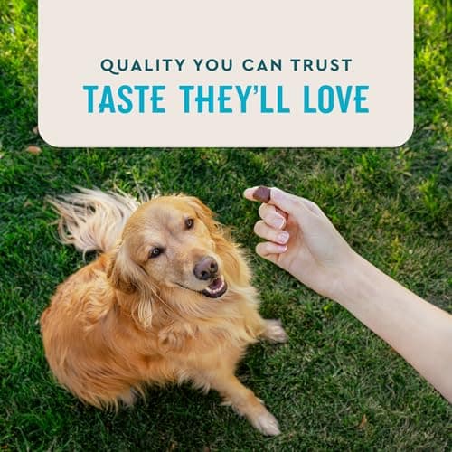 VetIQ Advanced Hip & Joint Chews For Dogs, 60 Count, Chicken Flavored Supplements Made with Glucosamine, Omega 3’s, Chondroitin, MSM & Green Lipped Mussel, Increases Mobility & Maintains Muscles — view 4