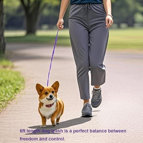 Siumouhoi 6 FT Puppy Leashes, Strong Traditional Style Leash with Easy to Use Collar Hook,Dog Lead Great for Small and Medium and Large Dog (Purple, 5/8 in x 6 ft)