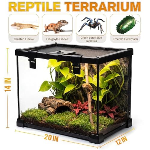NEPTONION 20"x12"x14" Reptile Terrarium, Escape-Proof Glass Arboreal Vivarium for Small Arboreal Reptiles Such as Crested Geckos, with Escape-Proof Lock & Feeding Hatch