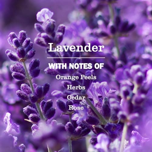 Mrs. Meyer's Clean Day Liquid Hand Soap, Lavender, Cruelty Free and Biodegradable Hand Wash Made with Essential Oils, 370 ml Soap Pump Bottle — view 2