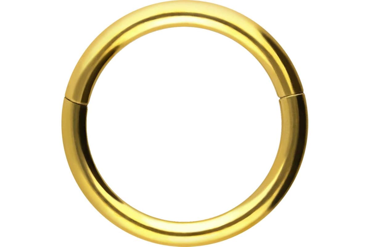PIERCINGLINE Anillo segmento Clicker de acero quirúrgico – Piercing en oro, plata, rosa, negro o azul – para nariz, tabique, oreja, hélice o tragus — view 94