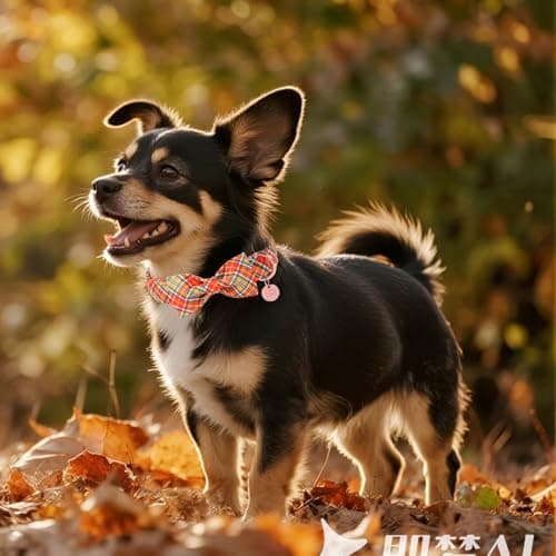 UP URARA PUP Autumn Plaid Dog Collar and Bow Tie Set – Orange Yellow Checkered Adjustable Fall Collar with Maple Leaf Charm for Small Medium Large Dogs, Soft Cotton Pet Collars with Buckle and D-Ring — view 5