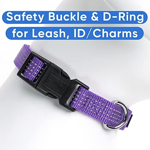 Pawtitas Small Reflective Adjustable Puppy Collar - Purple, Matching Leash and Harness Available — view 4