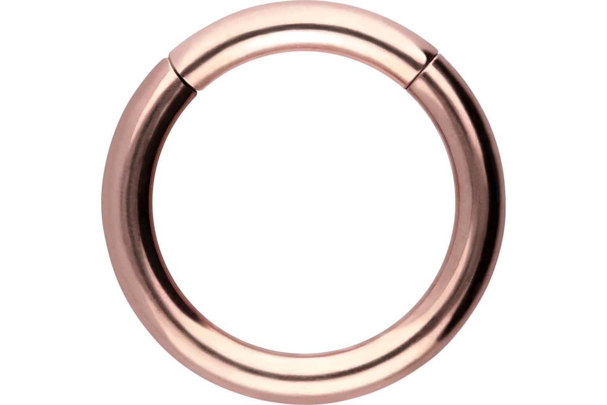PIERCINGLINE Anillo segmento Clicker de acero quirúrgico – Piercing en oro, plata, rosa, negro o azul – para nariz, tabique, oreja, hélice o tragus — view 117