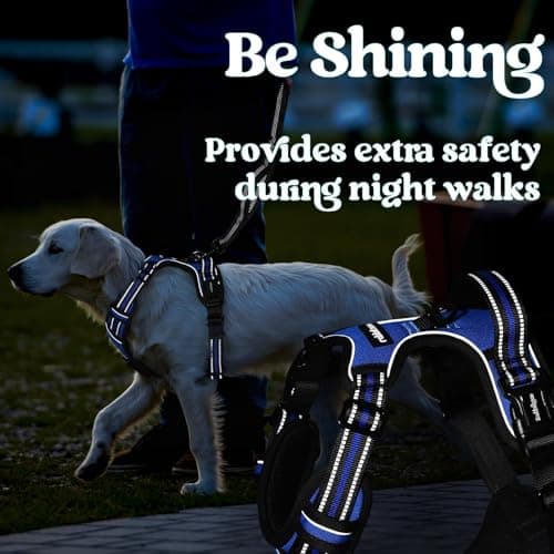 rabbitgoo Dog Harness Medium Breed, No Pull Pet Harness with 3 Buckles, Adjustable Soft Padded Dog Vest with Instant Control Handle, Easy Walking Reflective Pet Vest, Blue, M — view 8
