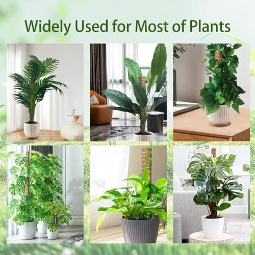 Moss Pole Monstera Plant Support, 5 Pack — view 6