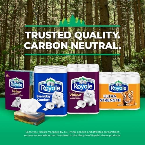 Royale Everyday Comfort 2 Ply Facial Tissue, 6 Tissue Boxes, 126 Tissues per Box — view 12