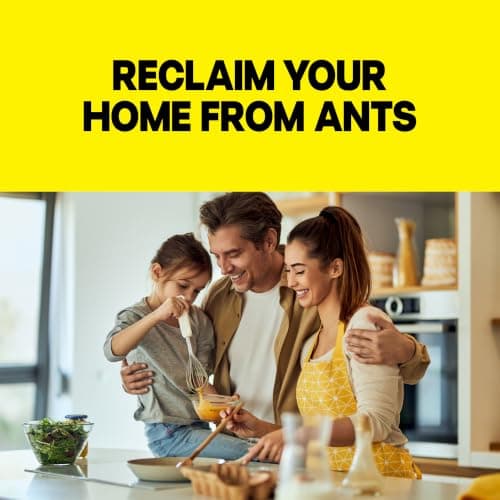 Raid Ant Killer Baits, for Household Use, Kills the Colony, Kills Ants for 3 Months, Child Resistant, 4 Count — view 3