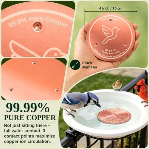 Azomabox Copper Disc for Bird Bath, 99.9% Pure Copper (Dove) — view 5