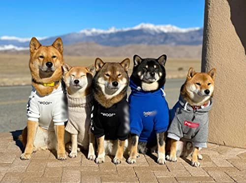 ChoChoCho Stylish Dog Hoodie Dog Clothes Streetwear Cotton Sweatshirt Fashion Outfit for Dogs Cats Puppy Small Medium Large (4XL, White)