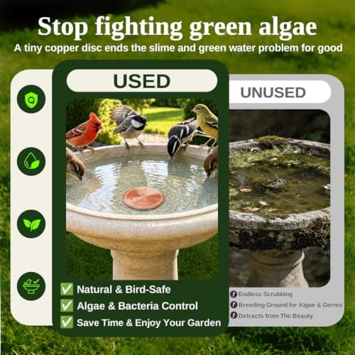 Azomabox Copper Disc for Bird Bath, 99.9% Pure Copper (Dove) — view 2