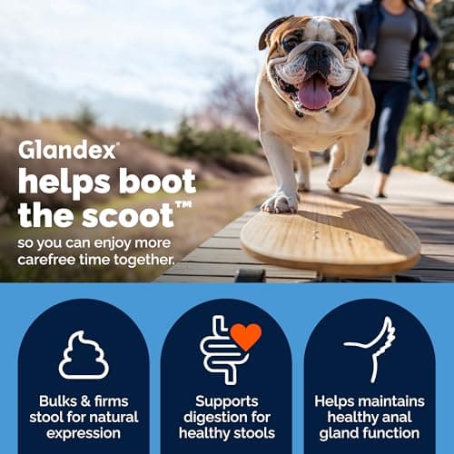 Vetnique Glandex Anal Gland Soft Chew Treats with Pumpkin for Dogs Digestive Enzymes, Probiotics Fiber Supplement for Dogs Boot The Scoot (Peanut Butter Chews, 60 Count) — view 2