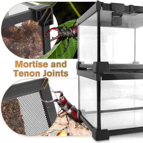 NEPTONION 20"x12"x14" Reptile Terrarium, Escape-Proof Glass Arboreal Vivarium for Small Arboreal Reptiles Such as Crested Geckos, with Escape-Proof Lock & Feeding Hatch — view 4