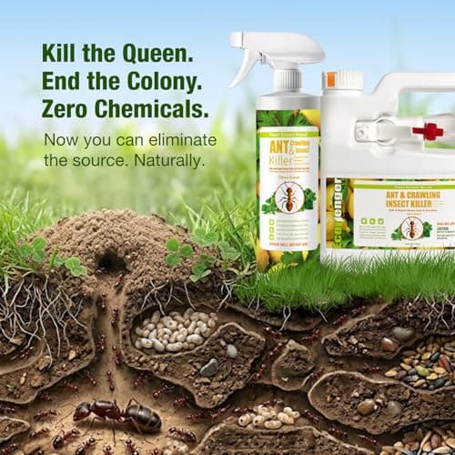 EcoVenger By EcoRaider Ant Killer & Crawling Insect Killer, 16 OZ Ready to Use, Indoor & Outdoor, Kills & Repels, Lasting Prevention, Natural & Non-Toxic Plant Based Formula, Pleasant Citrus Scent — view 5