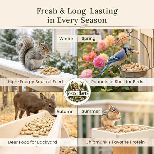 Forest Haven Premium Raw Peanuts for Squirrels – 2LB Bulk Squirrel Food – Unsalted Peanuts in Shell for Birds, Deer & Wildlife – Bonus Binoculars Included - USA Grown — view 5