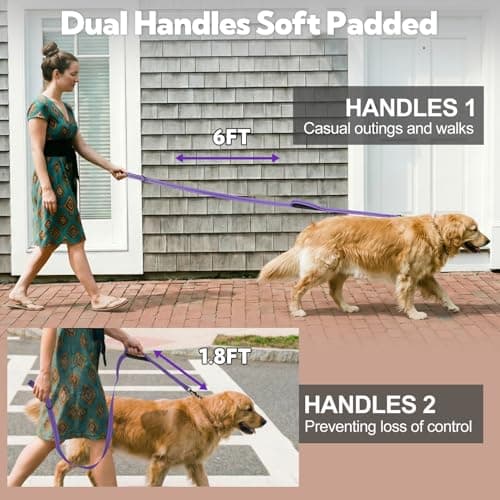 Dual-Handle Dog Leash 6FT, Heavy Duty Nylon with Reflective Threads,Purple