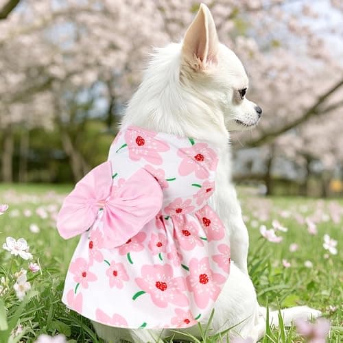choyaxo Floral Dog Dress Cute Dog Skirt Pet Dress Summer Pet Clothes for Puppy Small Cats — view 2